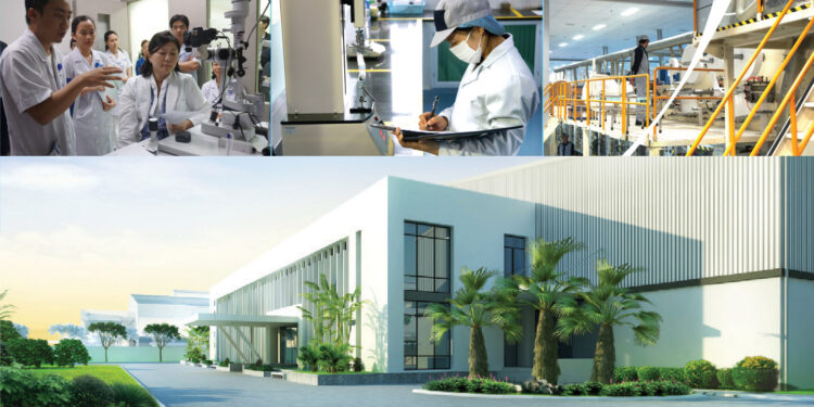 Việt Sing – Thương hiệu vì sức khỏe người tiêu dùng Việt